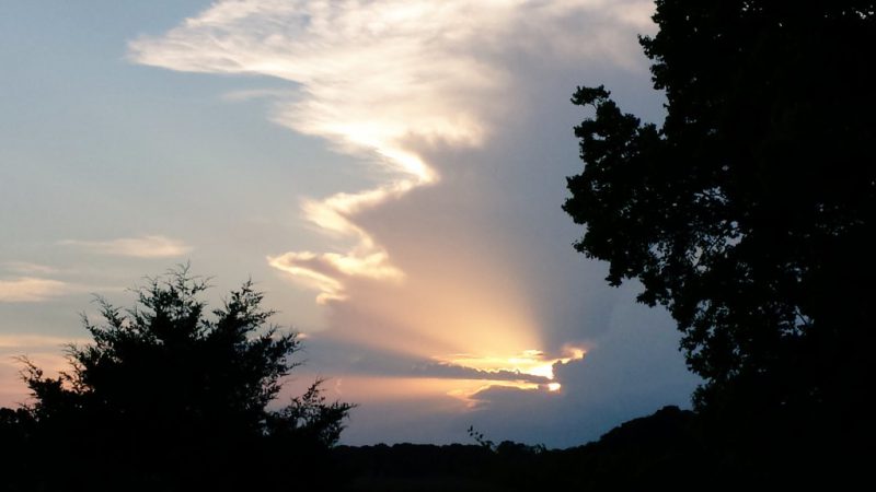 That Fork in The&nbsp;Road