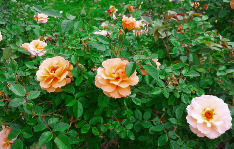 Making Room For&nbsp;Teresa