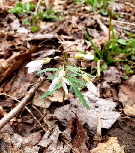 Looking Deep for Love&nbsp;Inside