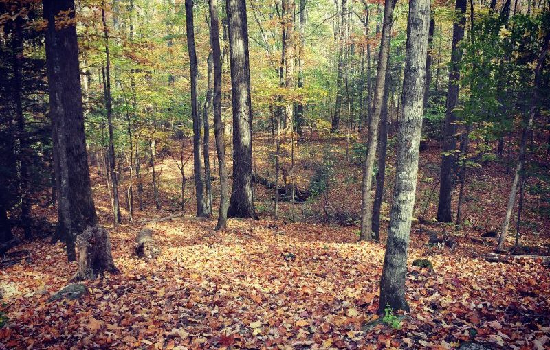 When You Just&nbsp;Know