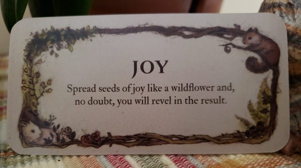 Yep… “Mama ALWAYS&nbsp;Wins!”