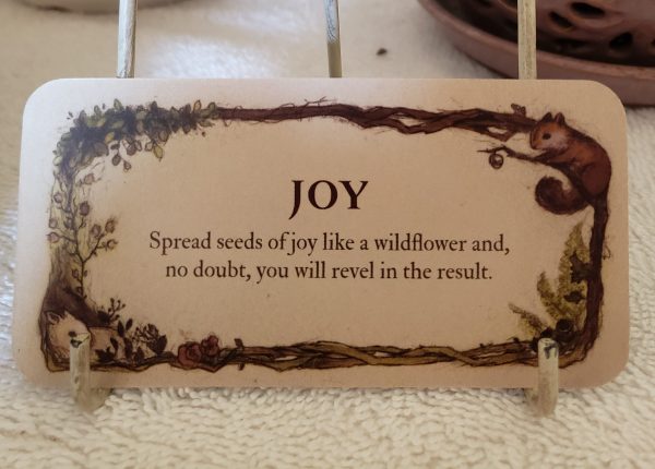 Always Thankful and&nbsp;Grateful!