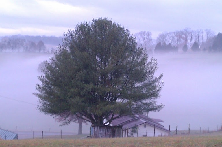 Taking My Sword To The&nbsp;Fog